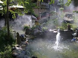 Máy bơm tiểu cảnh, Đài phun